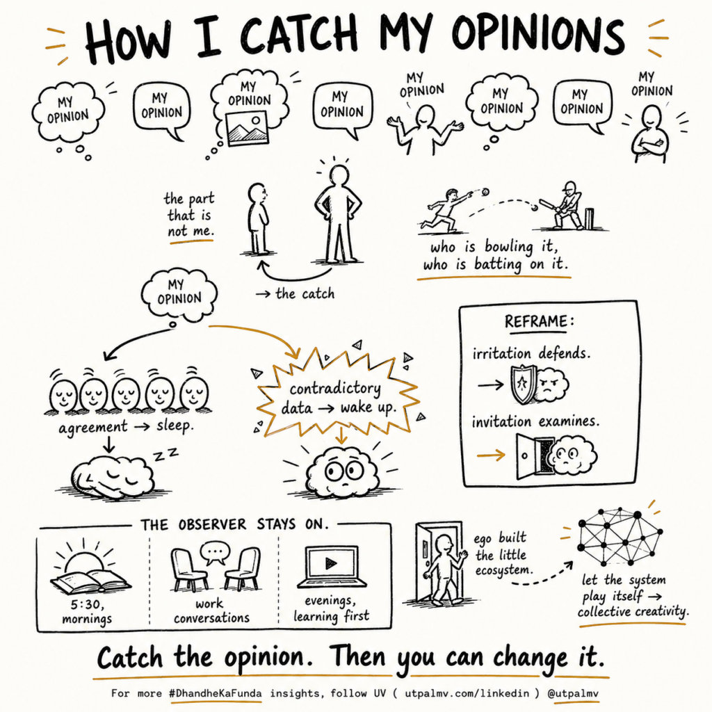 Catch your opinion